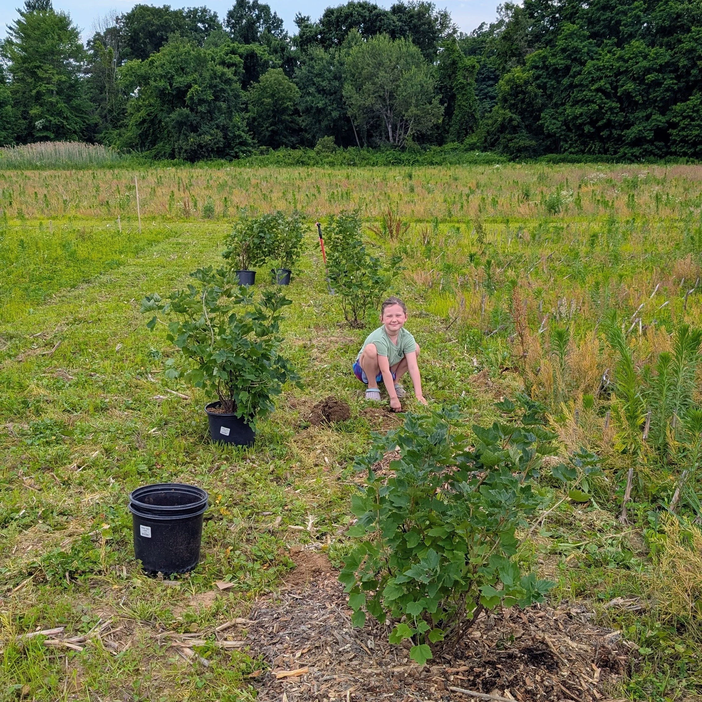 Sunray Community Farm