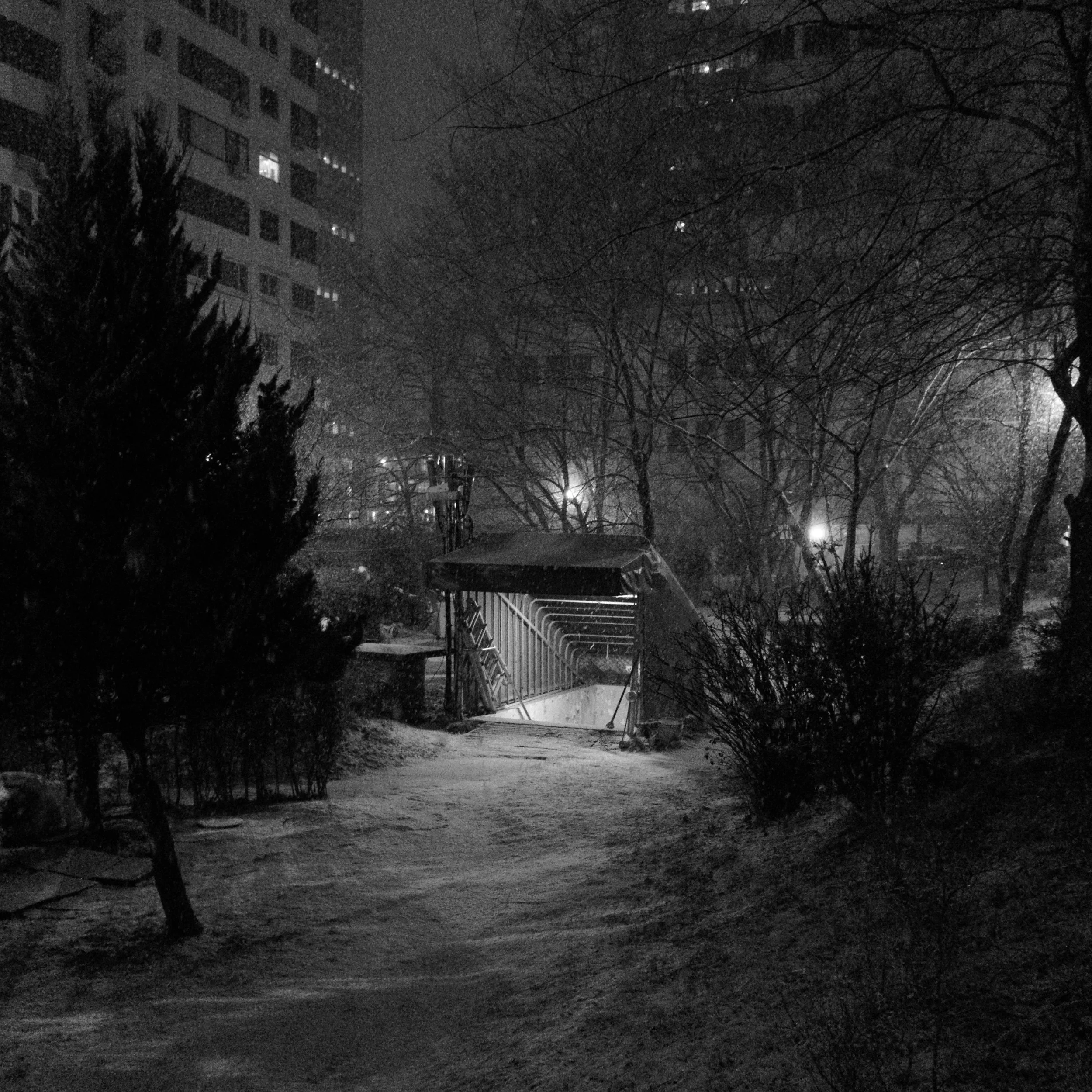 DSCF0290.jpg