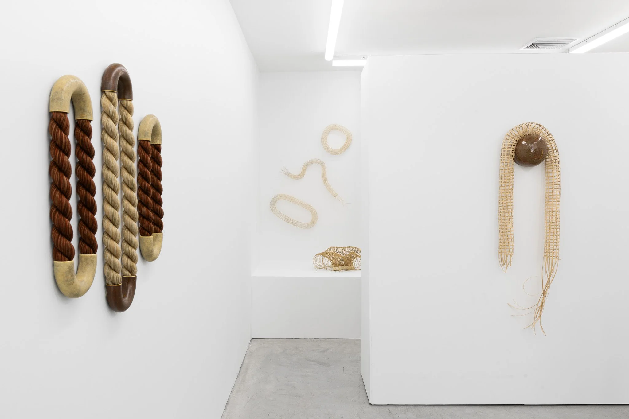 2026-02-26 Cas Friese Shoot-135.jpg