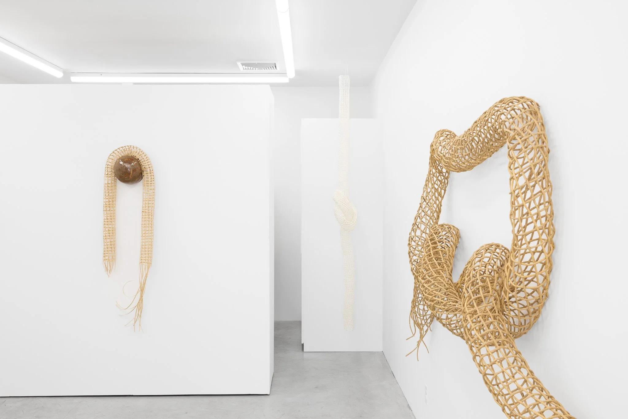 2026-02-26 Cas Friese Shoot-070.jpg