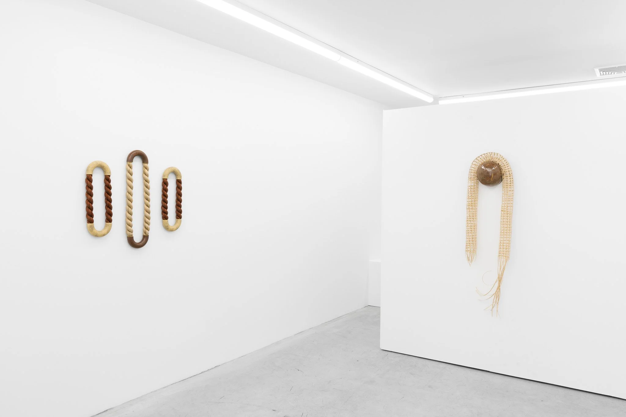 2026-02-26 Cas Friese Shoot-108.jpg