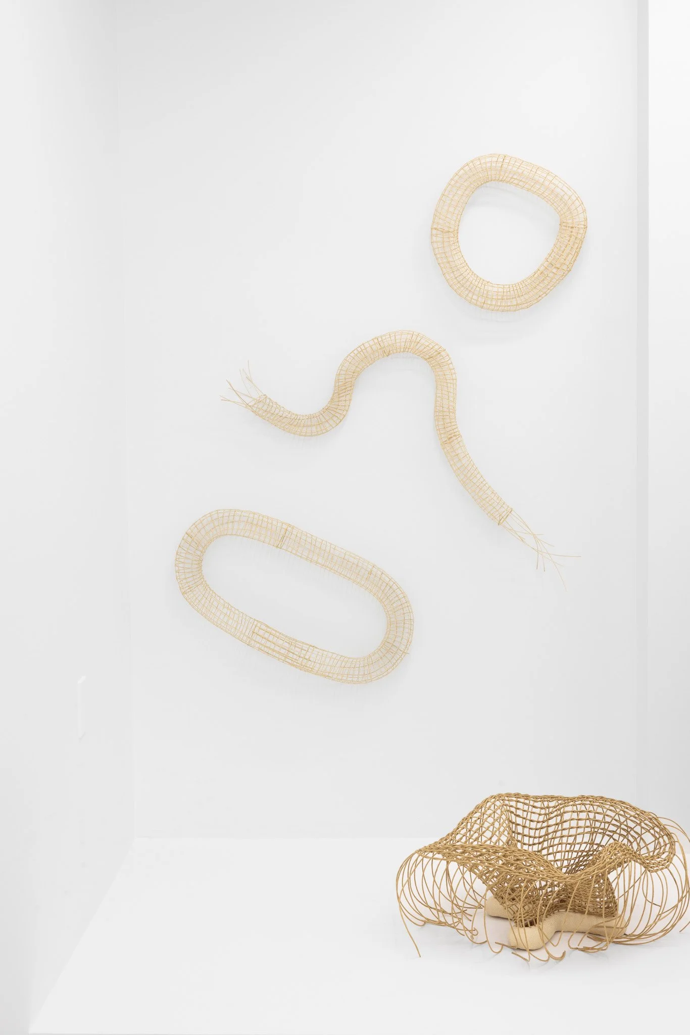 2026-02-26 Cas Friese Shoot-113.jpg