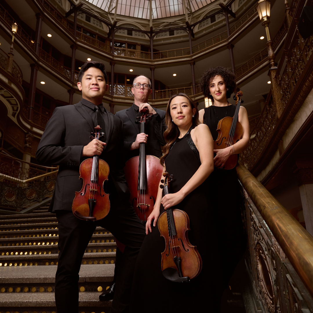 Verona Quartet
- string quartet -