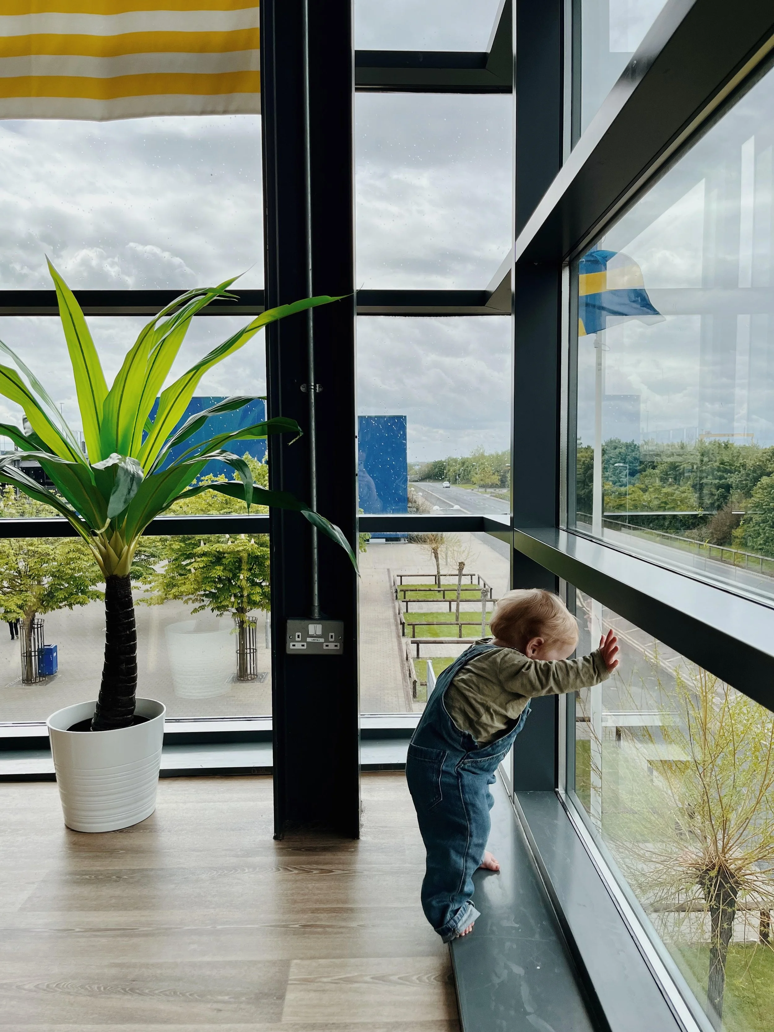 No One Is Coming: A Love Lost and Found in IKEA 