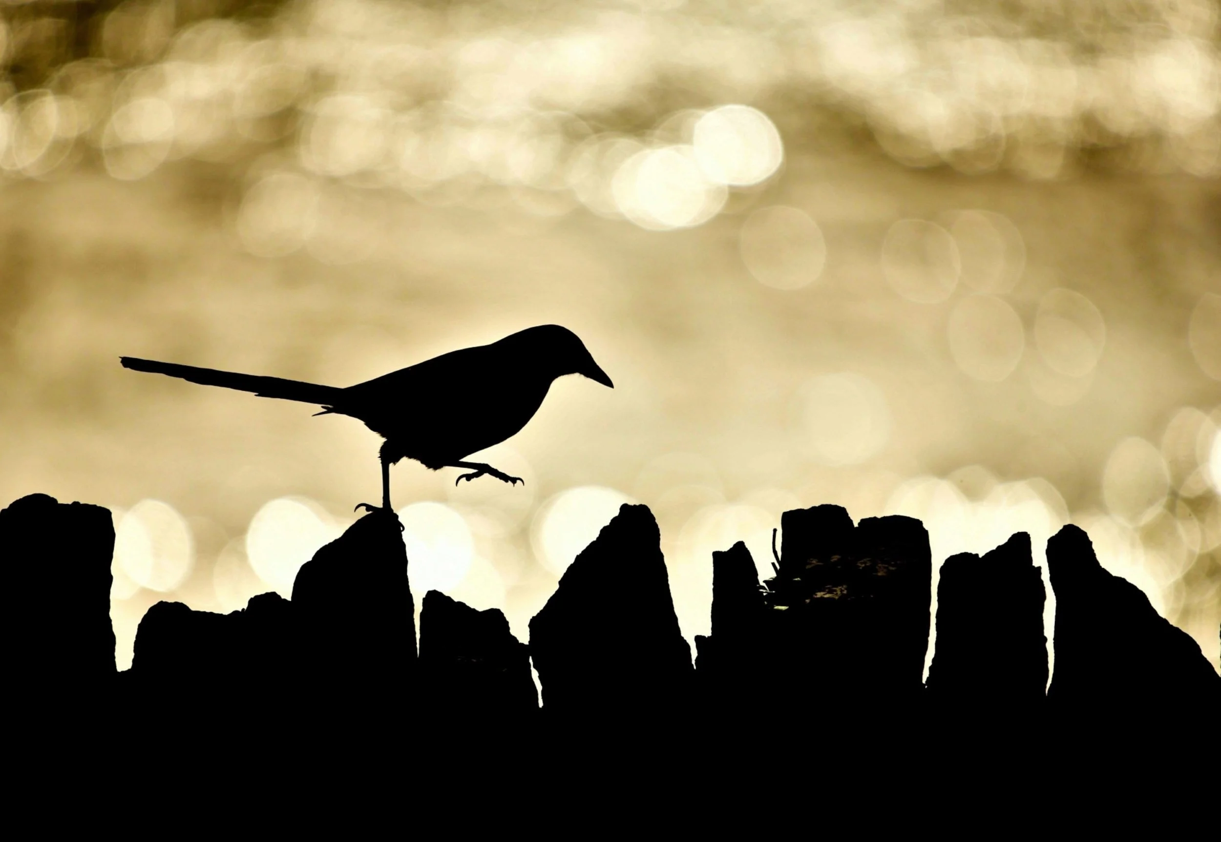 "The Leap of Faith" by Flynn Thaitanunde-Lobb