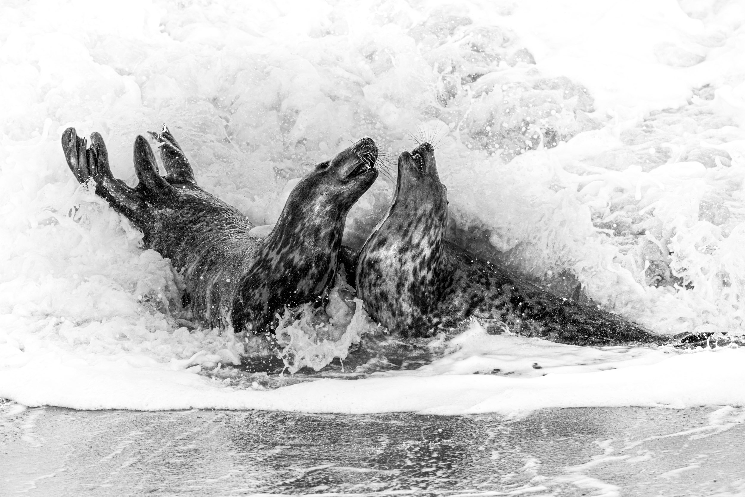 "Bubble Bath" by William Gray