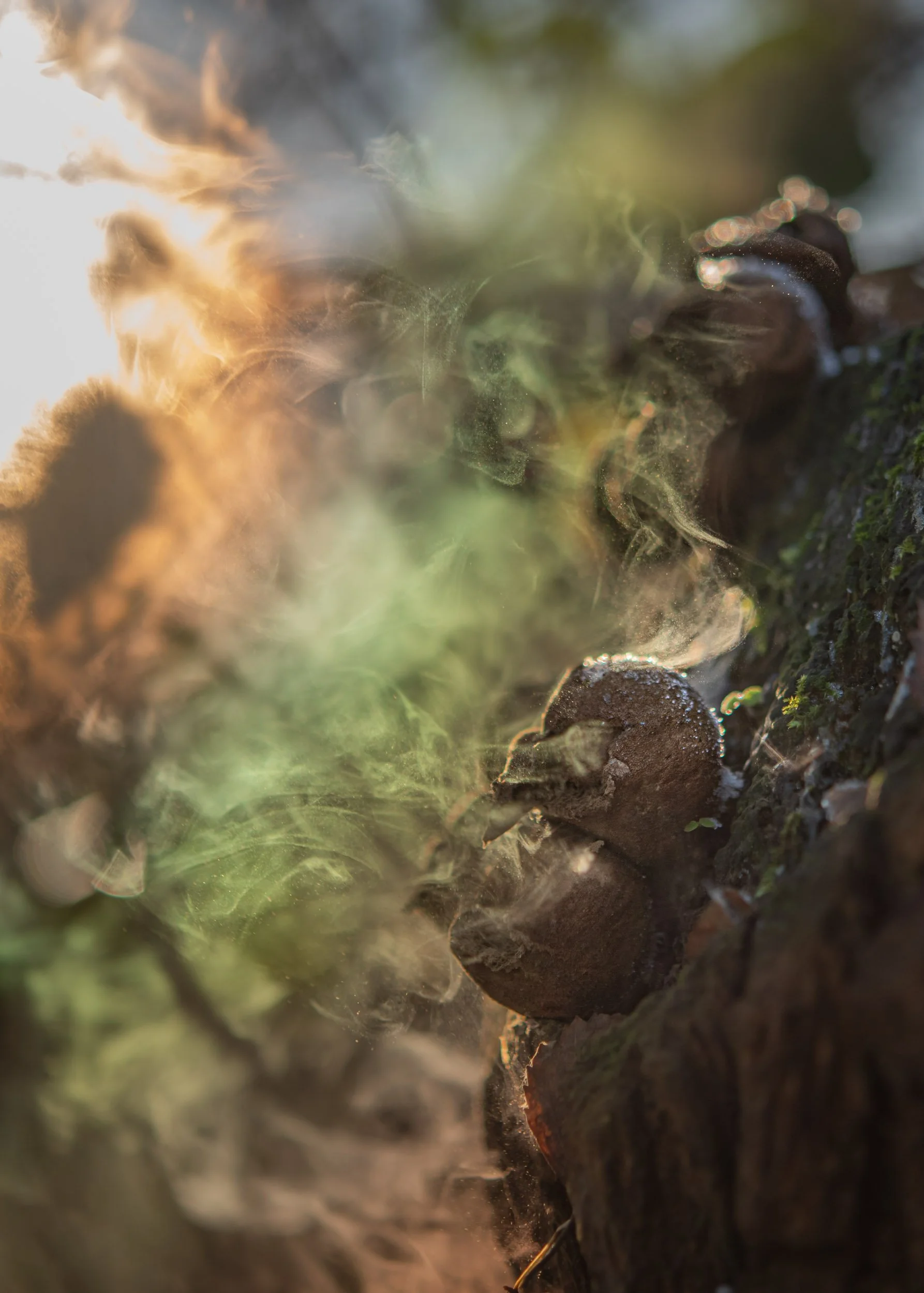 "Smoking Cauldrons" by Emmy Young