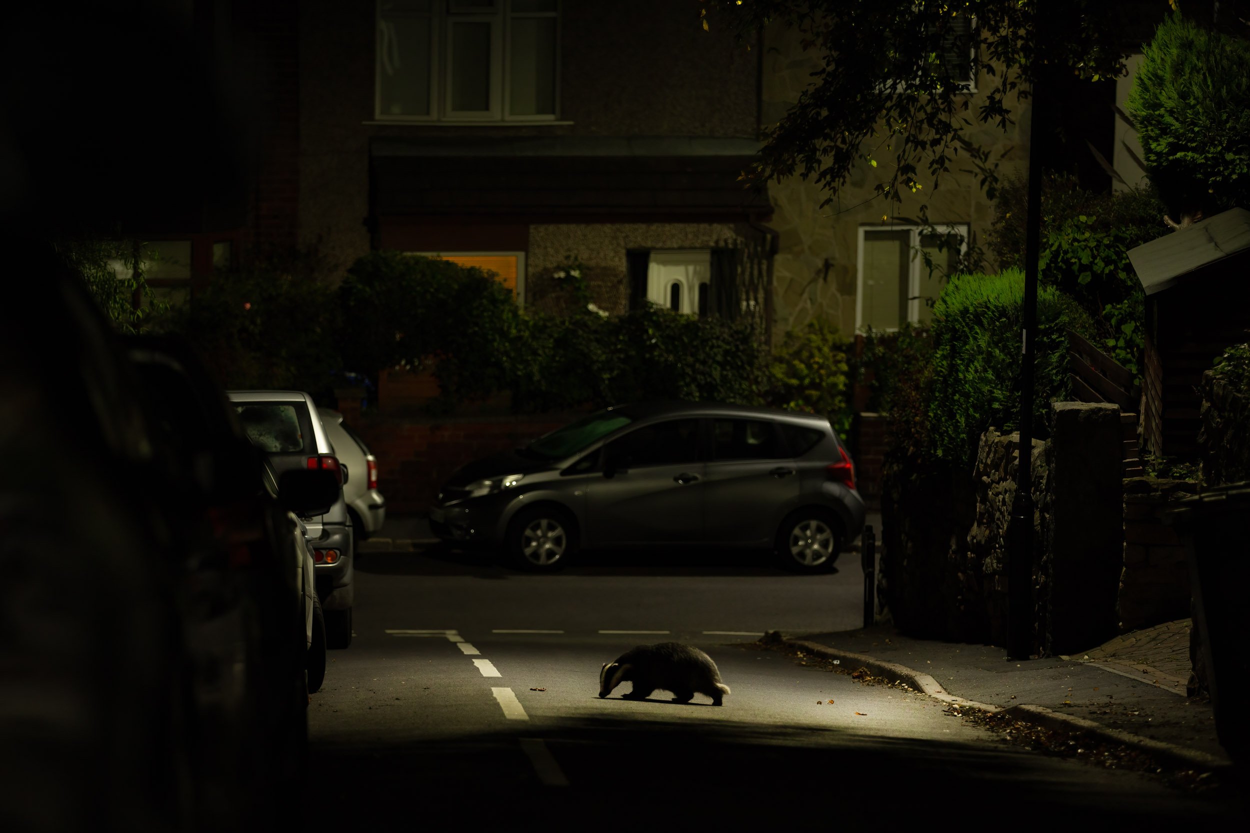 "From Garden to Garden" by Paul Hobson