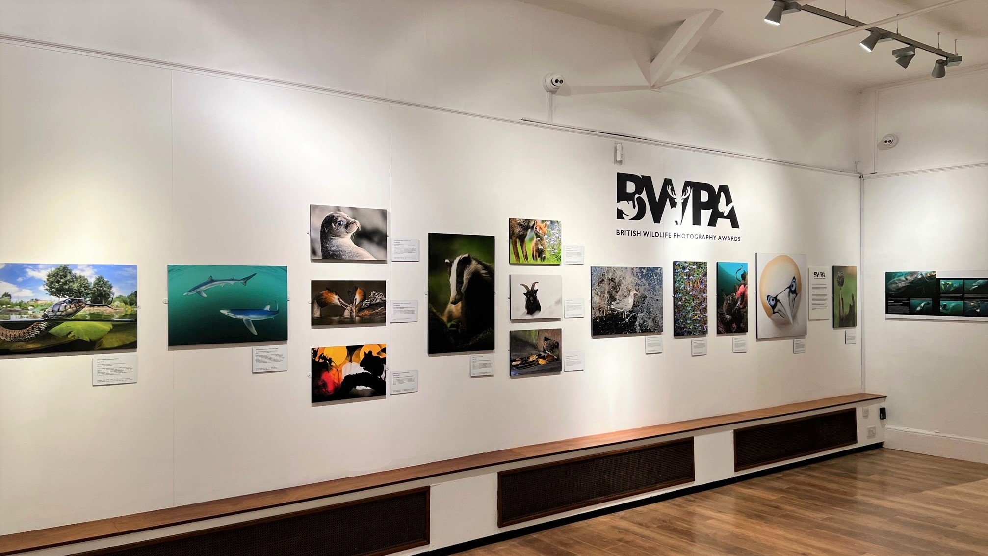 BWPA Exhibition Tour — British Wildlife Photography Awards