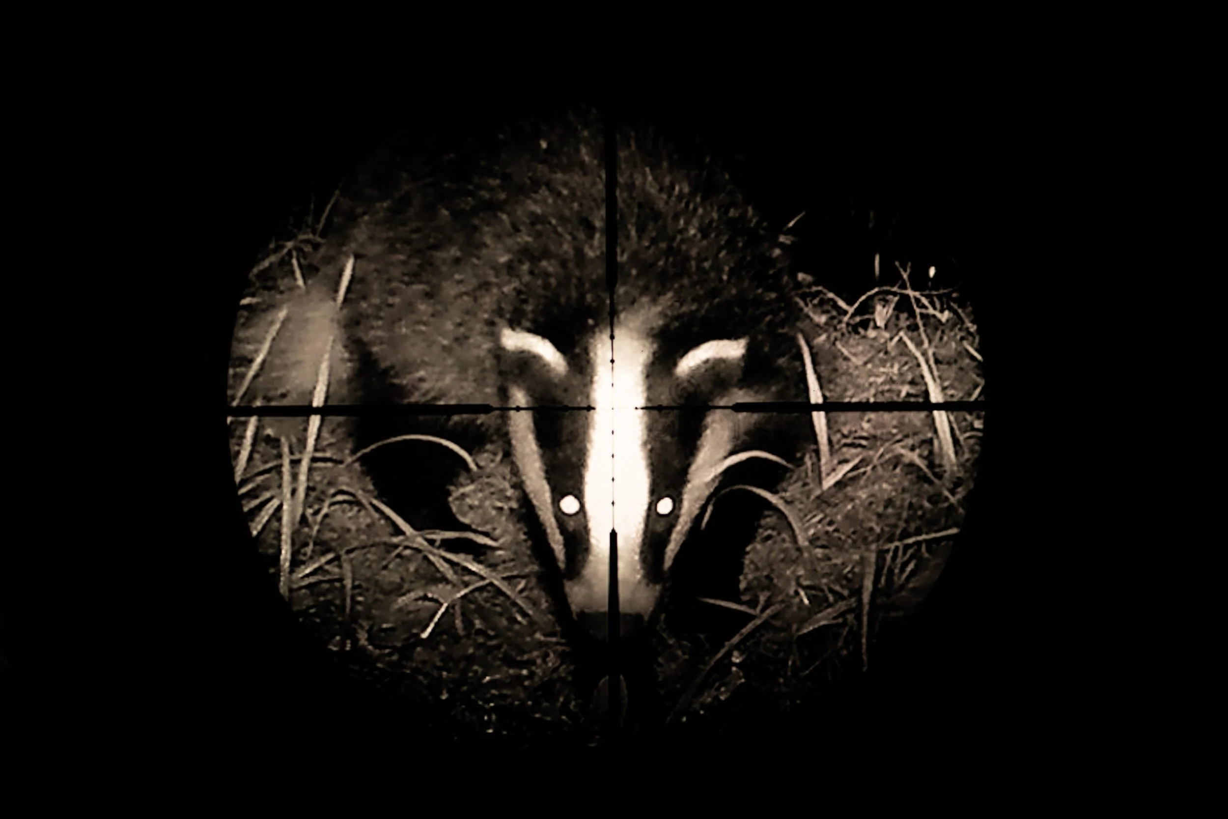 Nighgt-vision-scope-badger-5.jpg