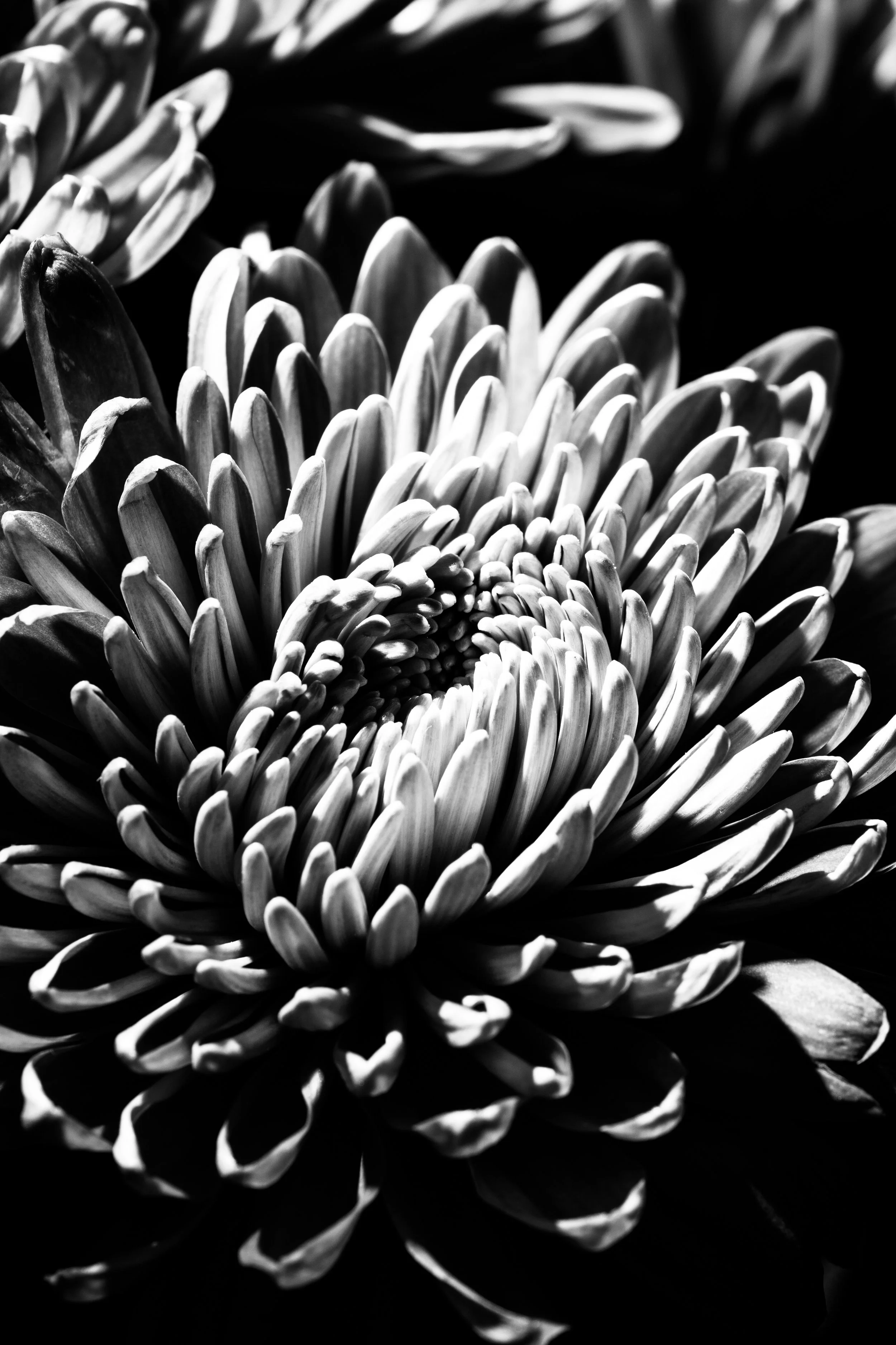 DSC00005(1).jpg