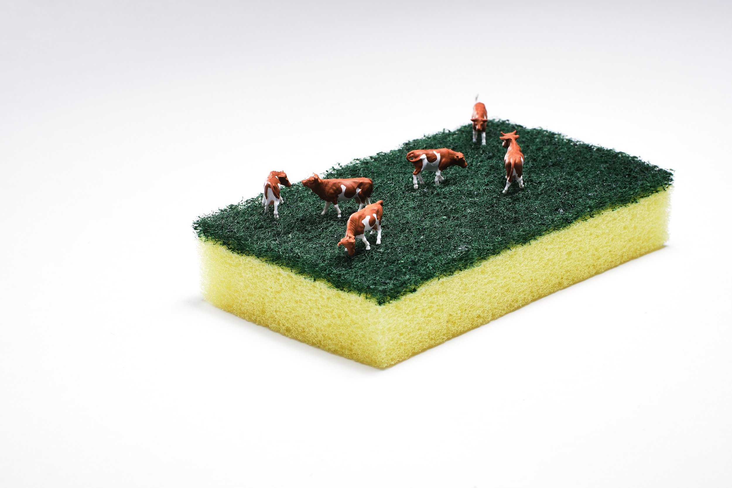 Grass Fed