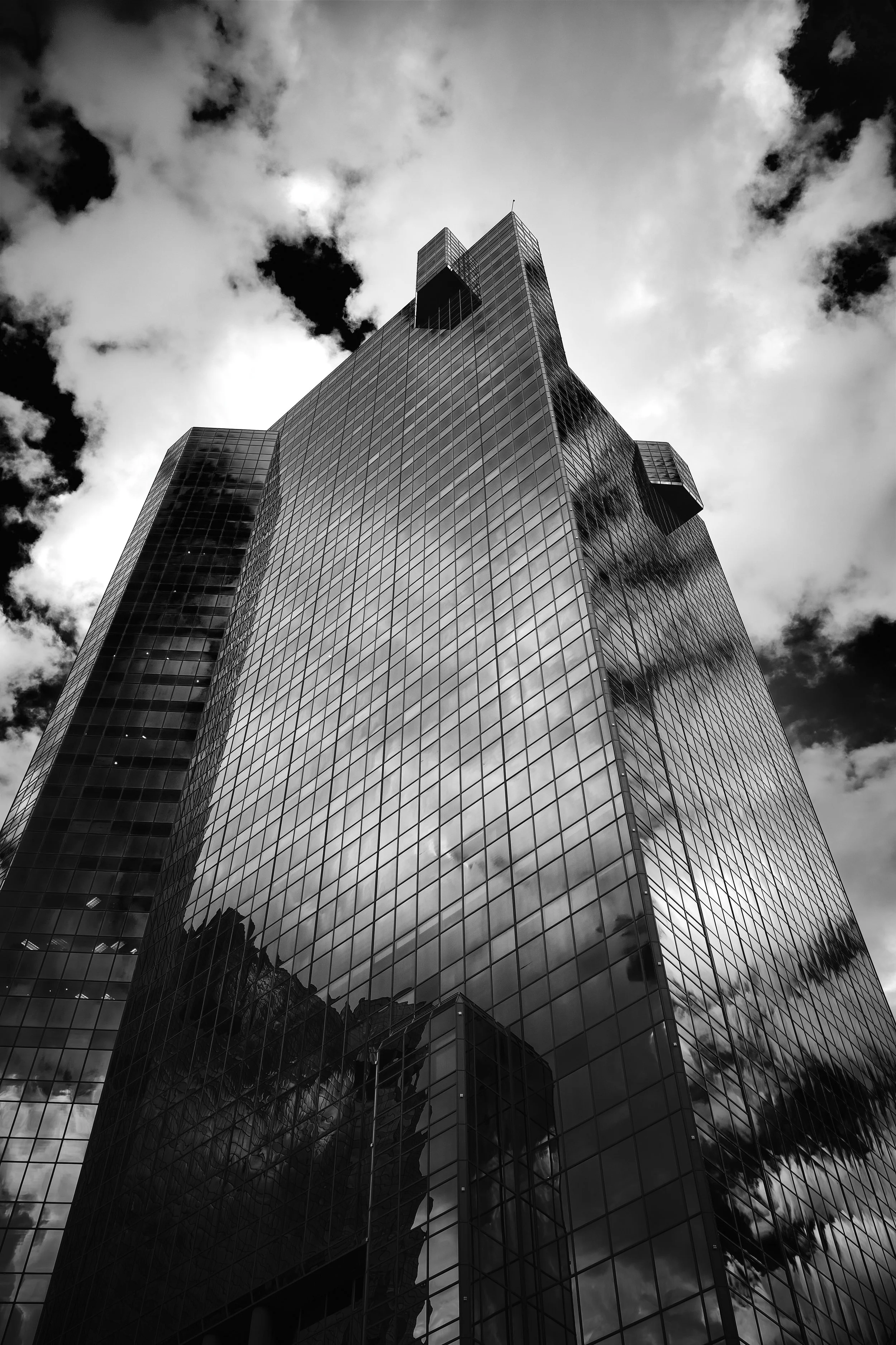 DSCF0855.jpg