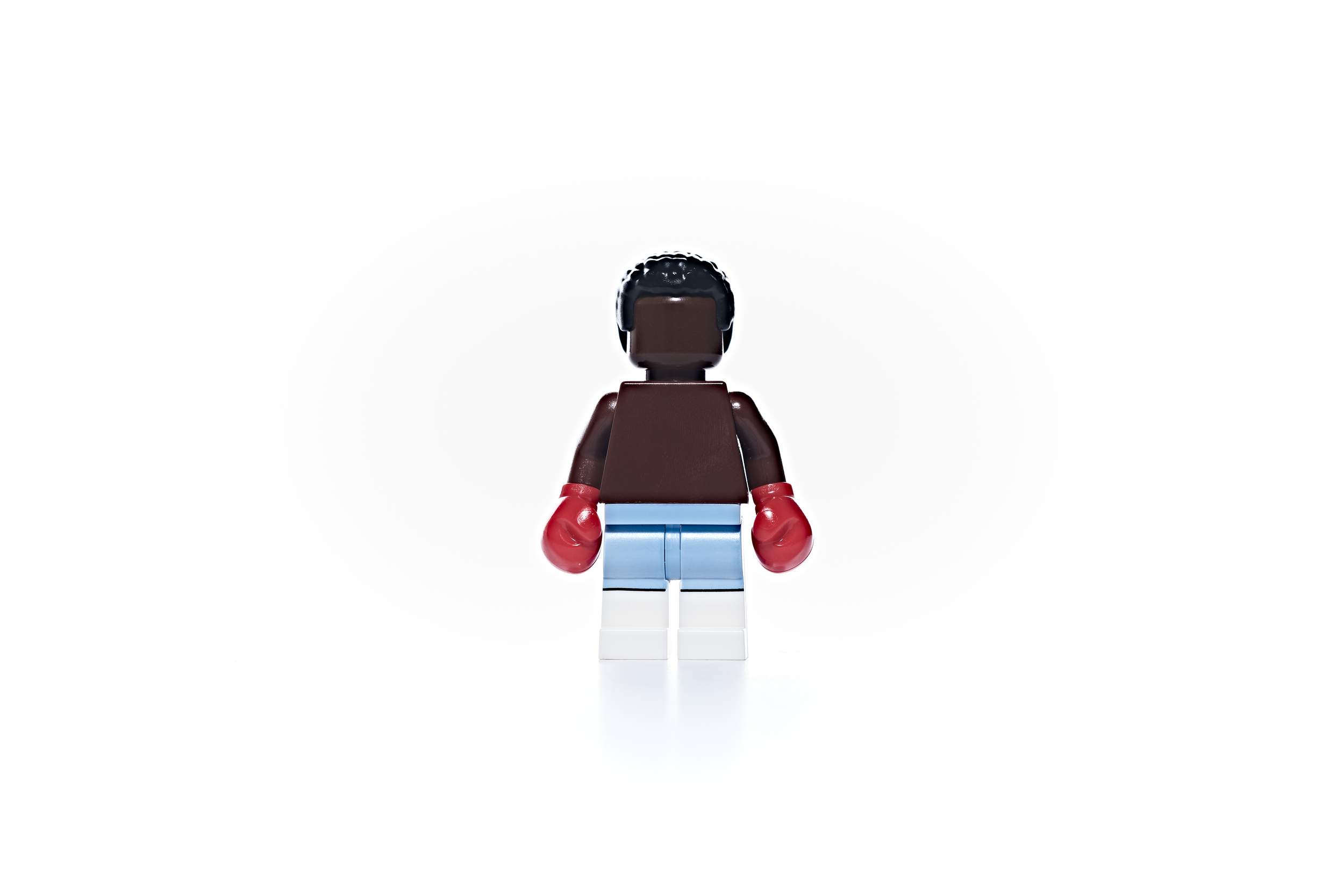 The Boxer