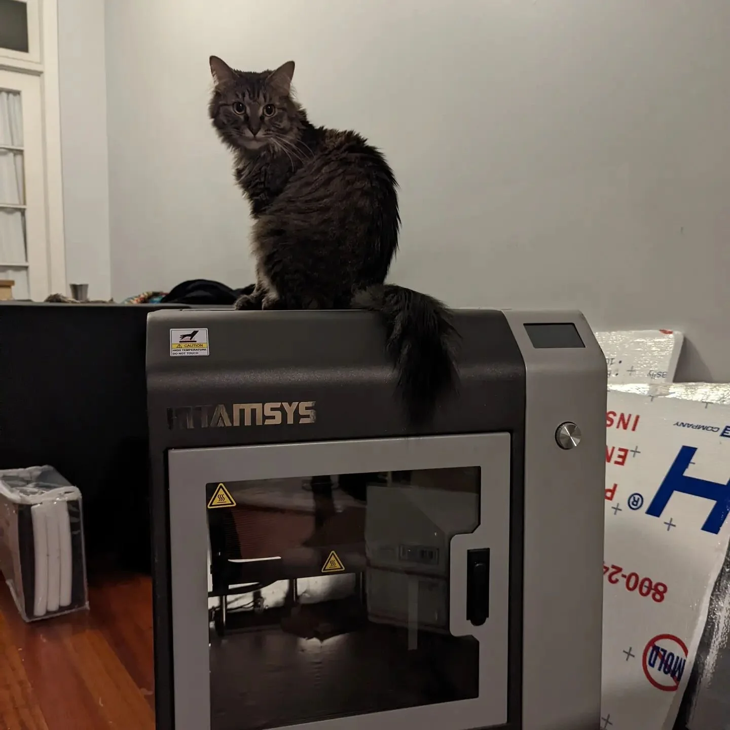 #3dprinting #hightemp3dprinter #cat