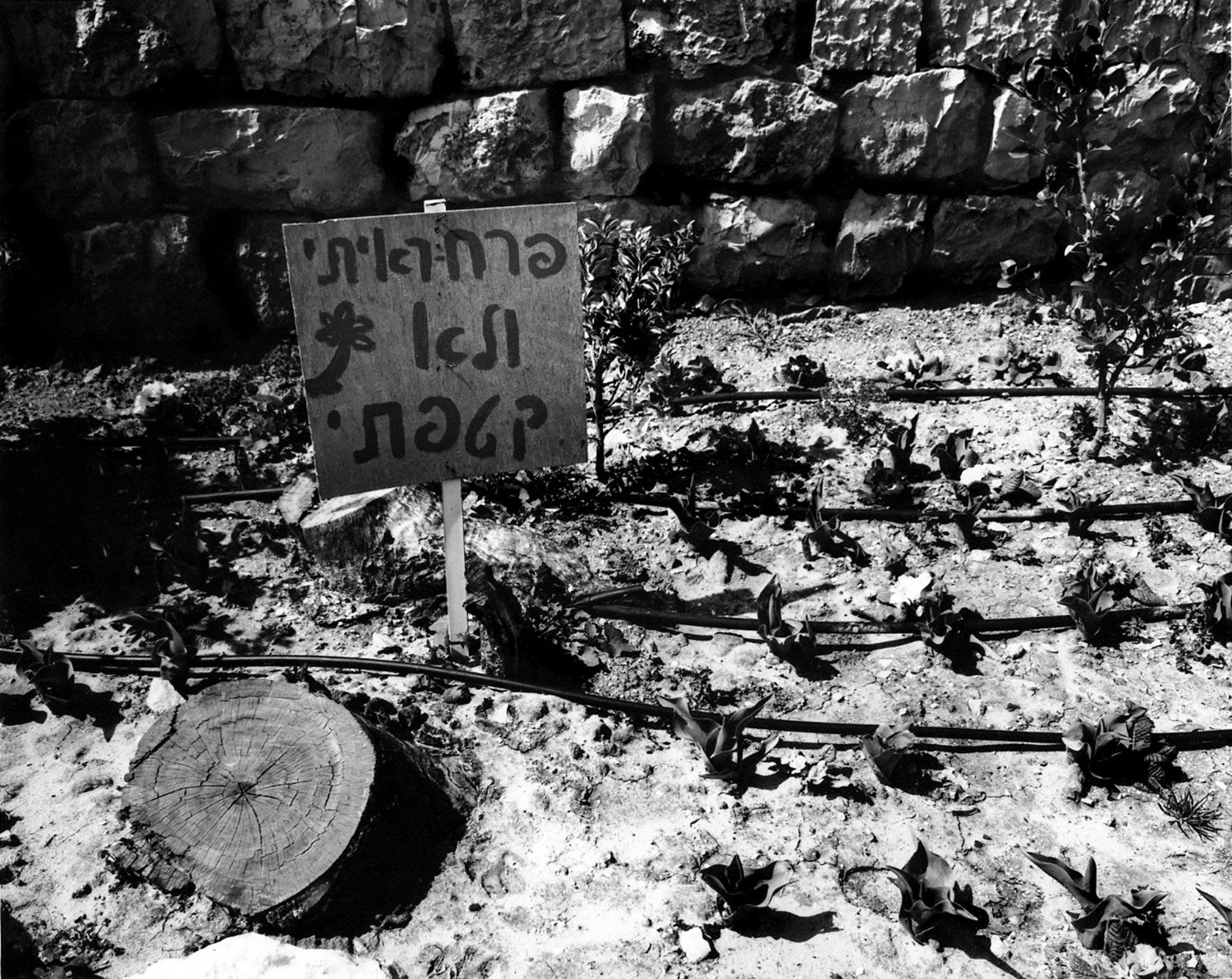 049_Jerusalem