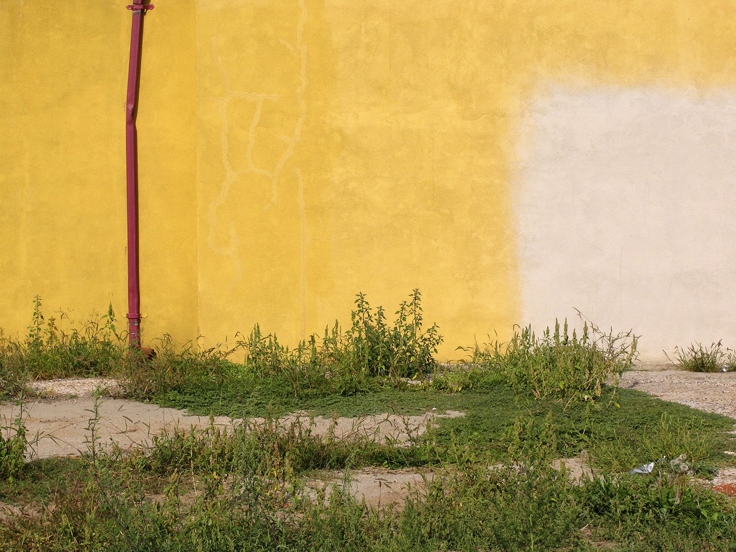 019_ExquisiteColor