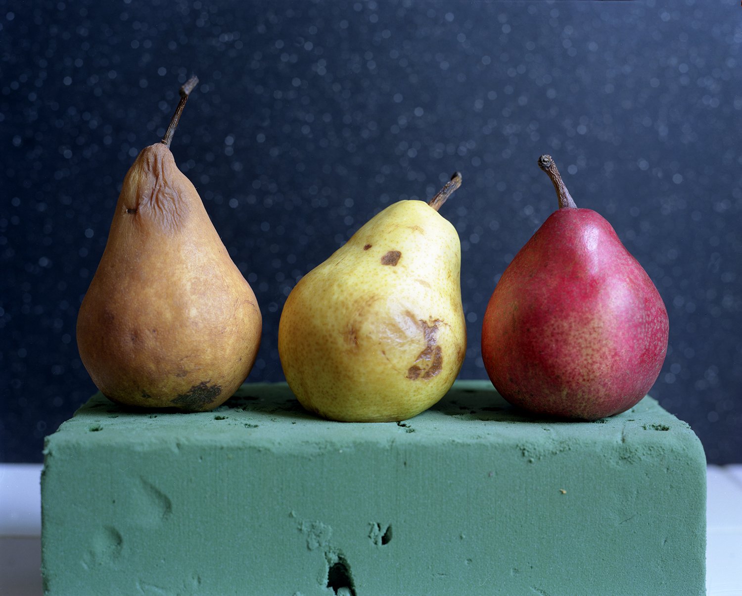 013_StillLife