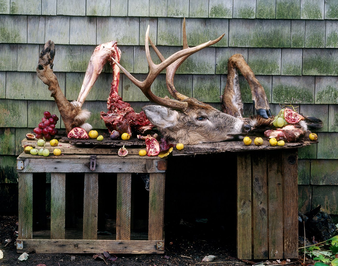 001_StillLife