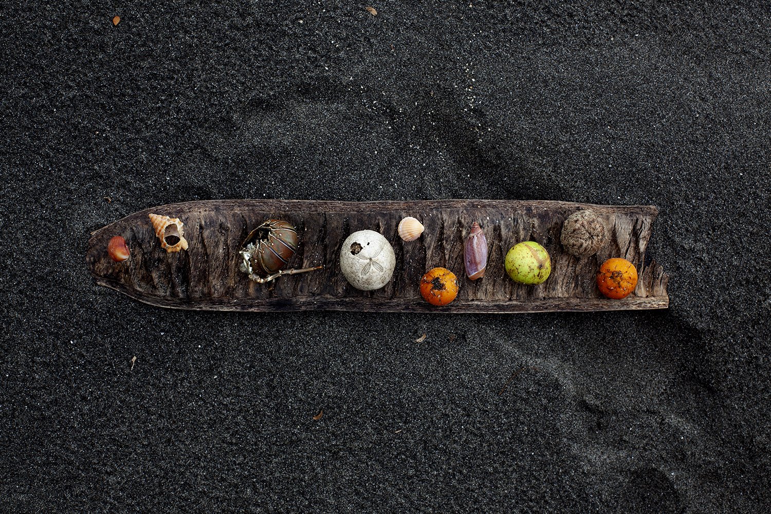 028_StillLife_CostaRica