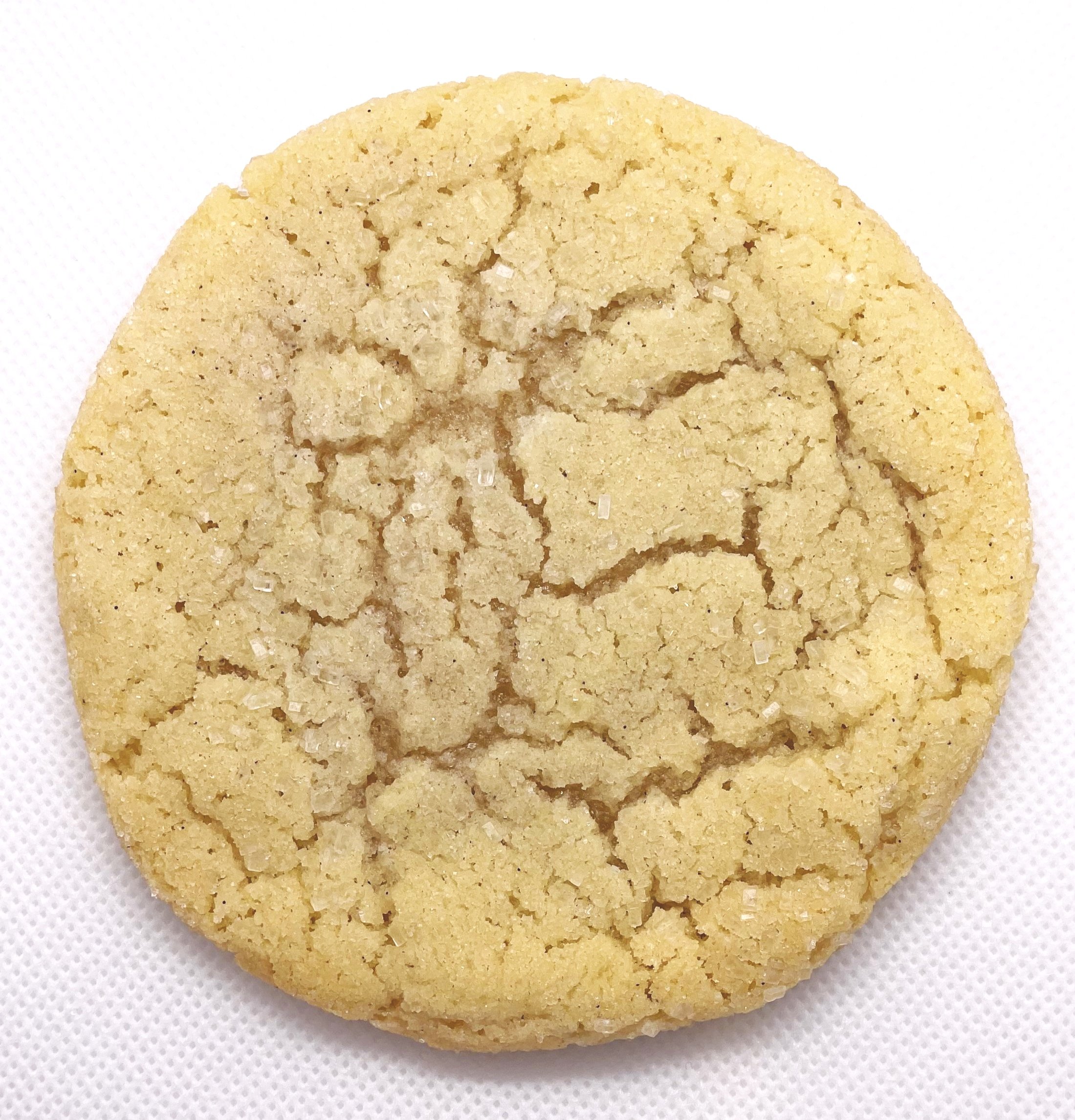 vanilla bean sugar cookie