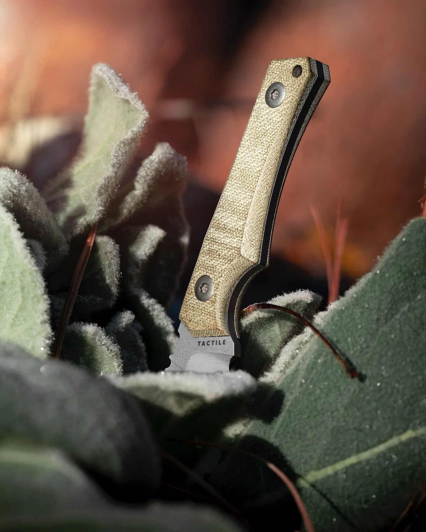 I understand the popular demand for the @tactileknifeco Osprey now. I had the chance to bring one from CCKS Fall 2025. 
To see if it truly handles anything you throw at it, as people say, I took it to Idaho a few weeks ago and spent some time out in 