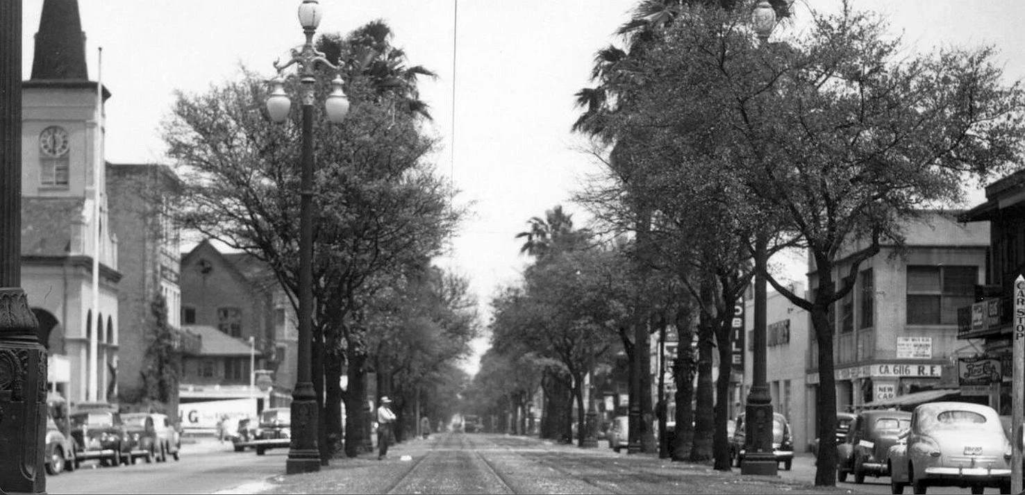 Rampart Street 1947, a tree lined road with cars on the side.
