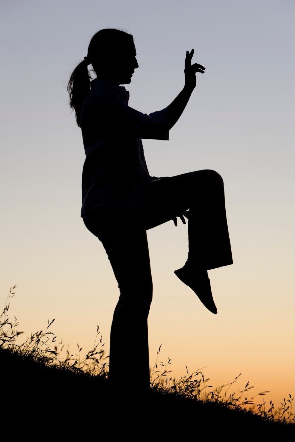 Tai Chi