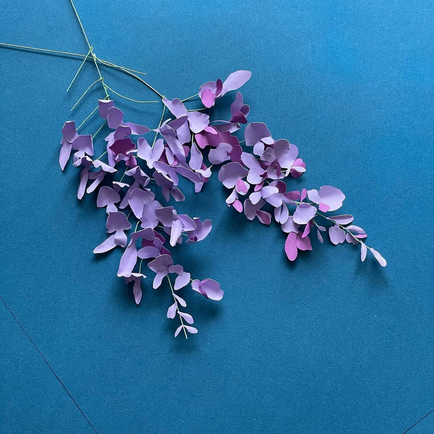 Glycine 🌿 

#glycine #japon #fleurs #violet #setdesign #designerparis #fleurviolette #fleurenpapier #d&eacute;cor