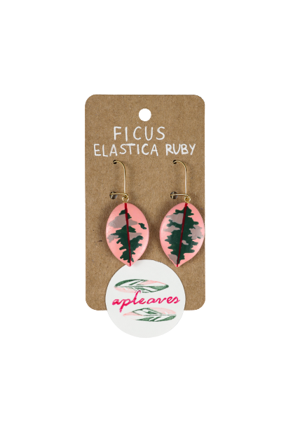 ficus elastica ruby.png