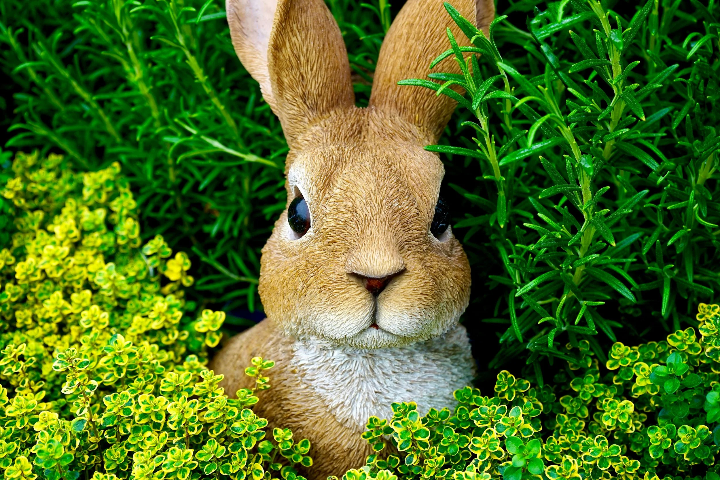 Hopping Into Spring: Why the Real Estate Market Is Blooming in Mauston, Elroy, New Lisbon, WI Dells &amp; Necedah
