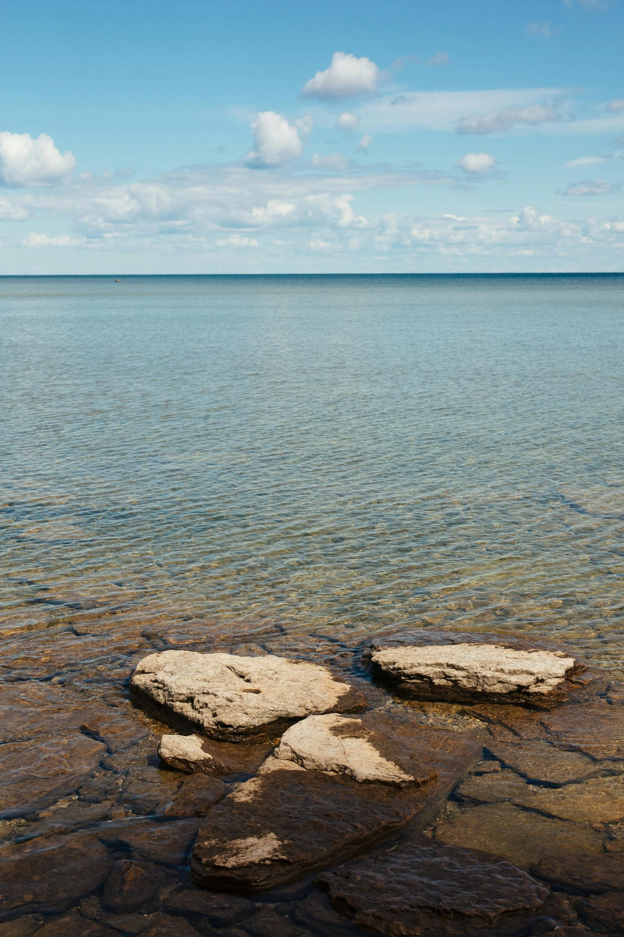 Lake Petenwell vs. Castle Rock Lake: Which Central Wisconsin Lake Lifestyle Fits You Best?