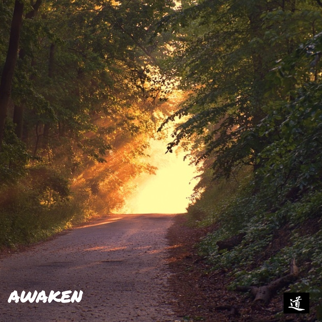 awaken.png