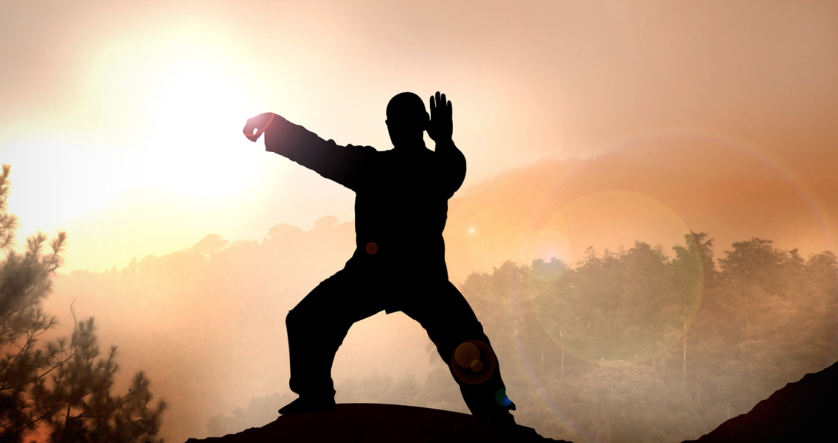 qi gong.png