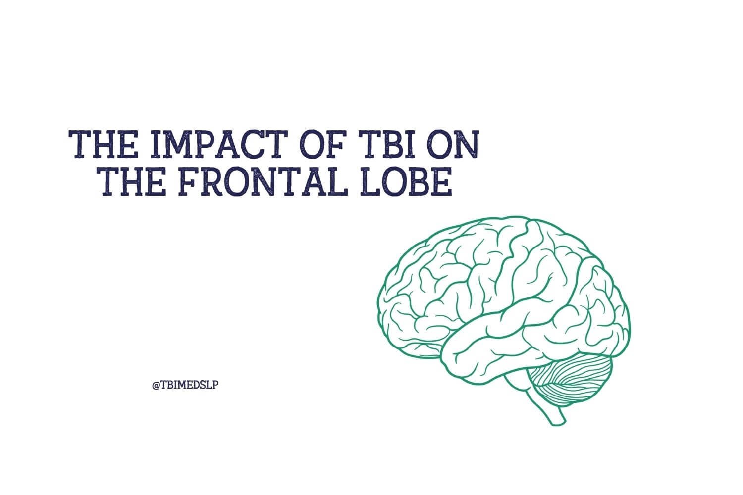 The impact of TBI on the frontal lobe