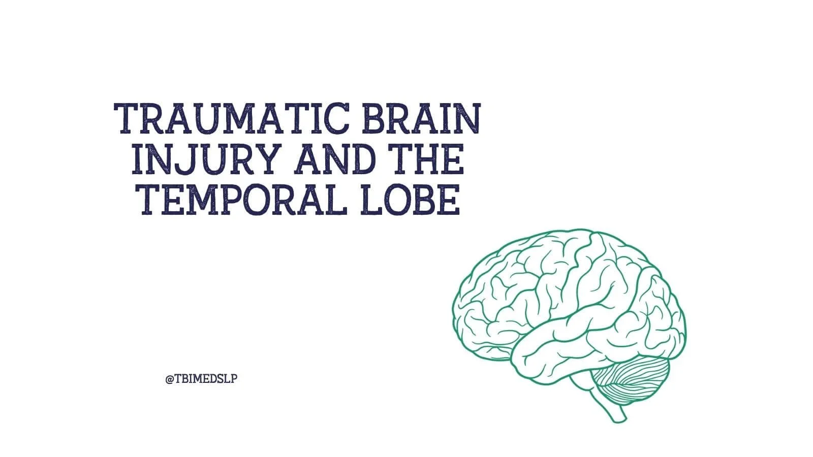 Traumatic Brain Injury and the Temporal Lobe