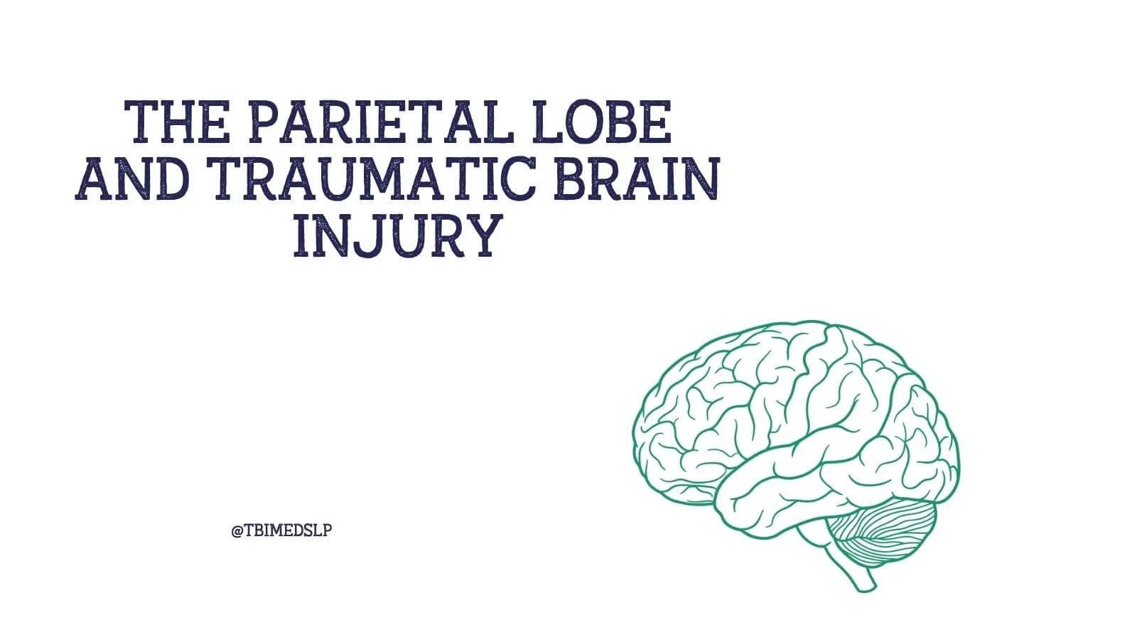 The Parietal Lobe and Traumatic Brain Injury