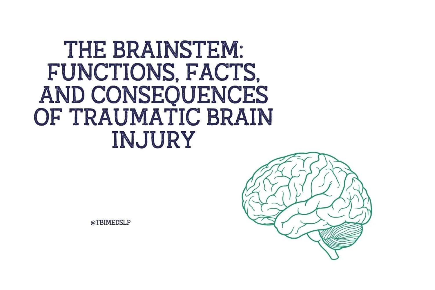 The Brainstem: Functions, Facts, and Consequences of Traumatic Brain Injury
