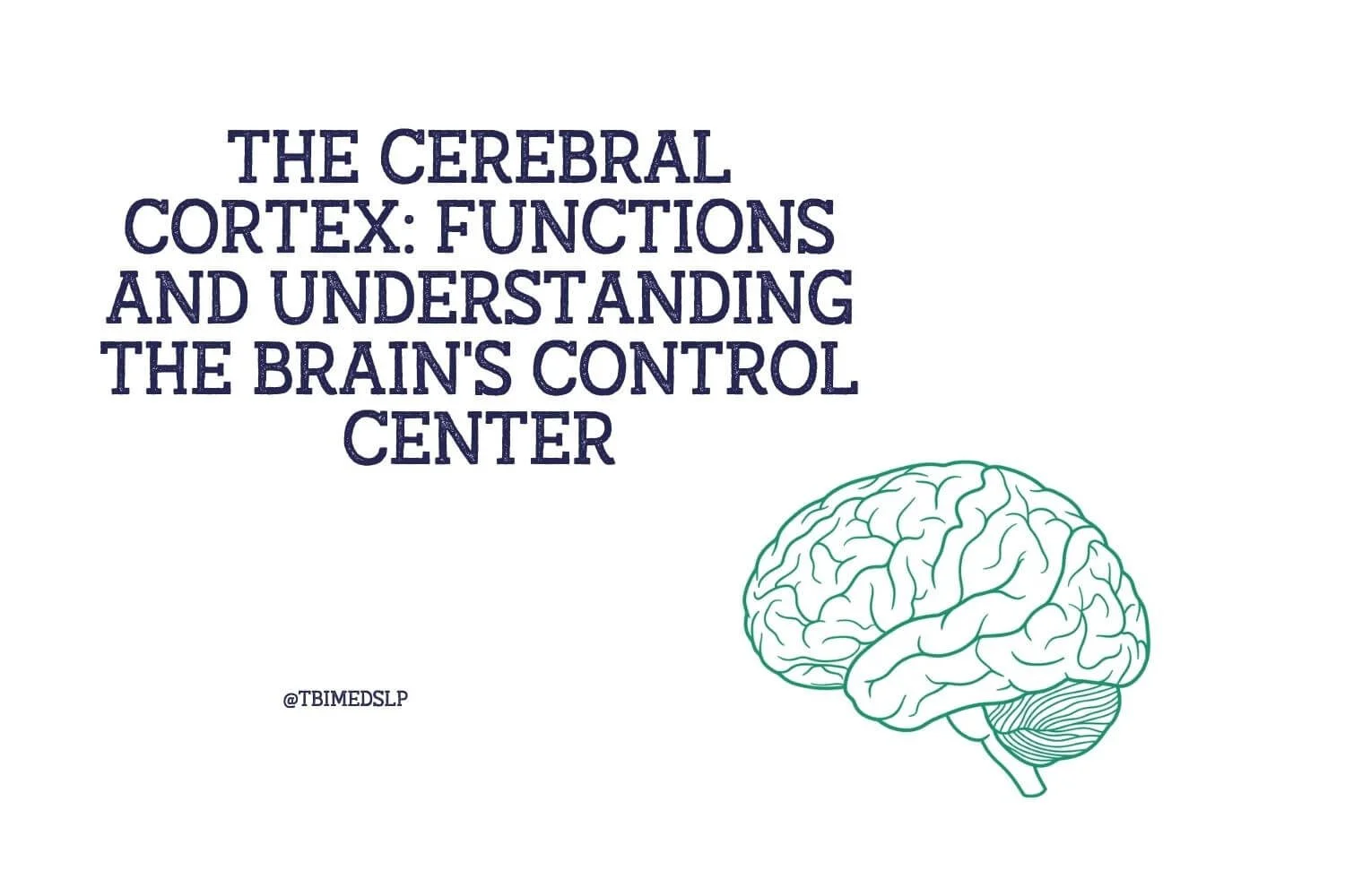 The Cerebral Cortex: Functions and Understanding the Brain's Control Center
