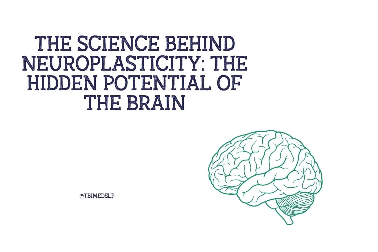The Science Behind Neuroplasticity: The Hidden Potential of the Brain