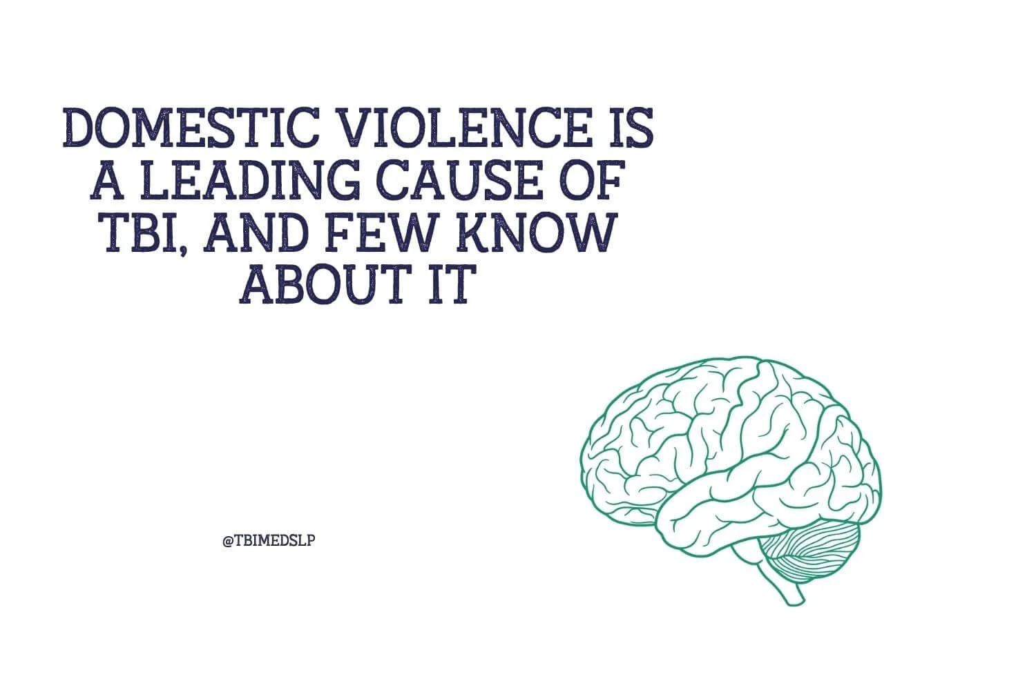 Domestic Violence is a leading cause of TBI- and few know about it