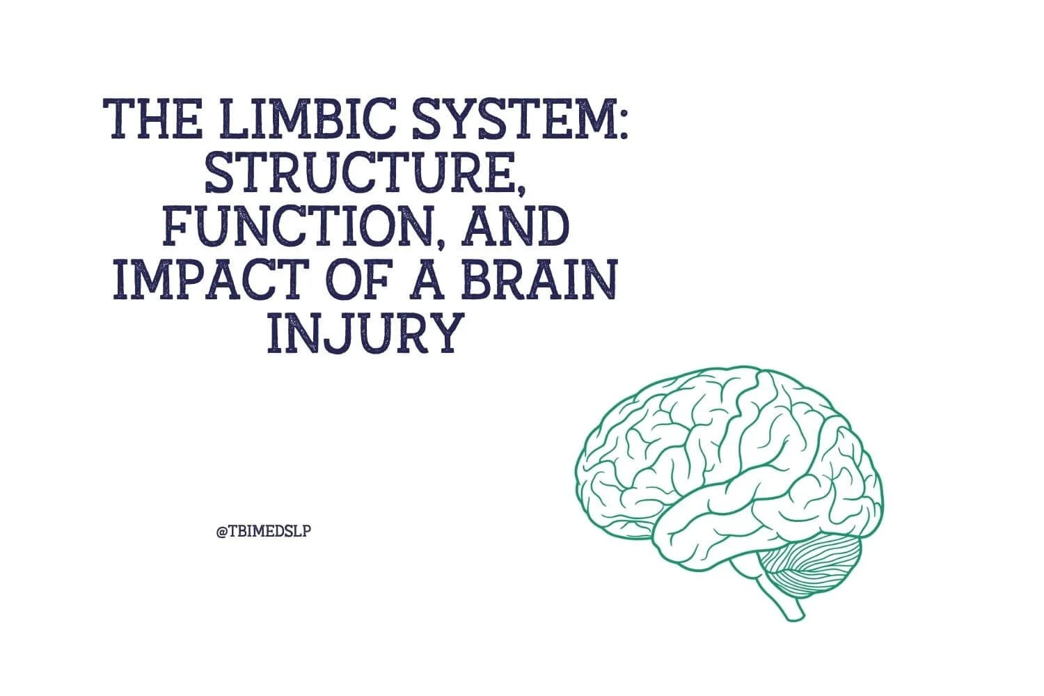 The Limbic System: Structure, Function, and Impact of a Brain Injury