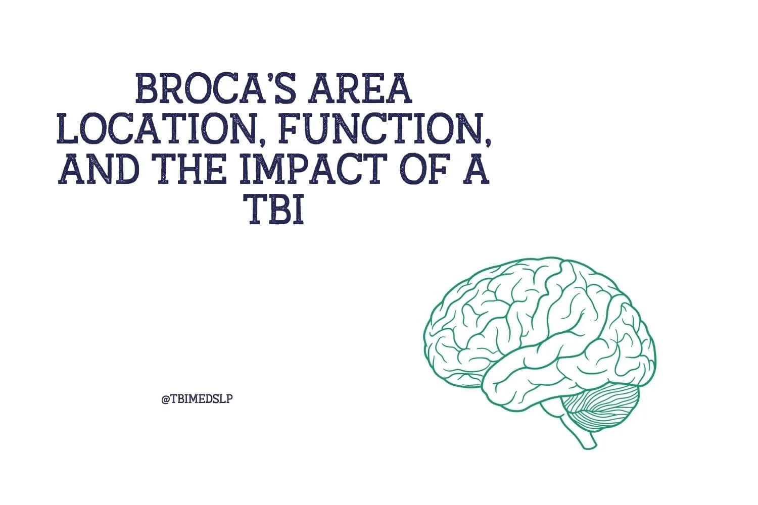 Broca’s Area Location, Function, and Impact of a TBI