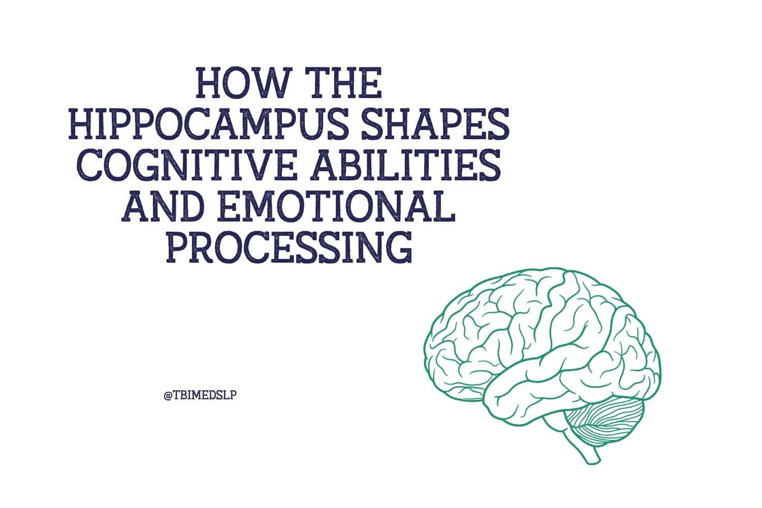 How the Hippocampus Shapes Cognitive Abilities and Emotional Processing