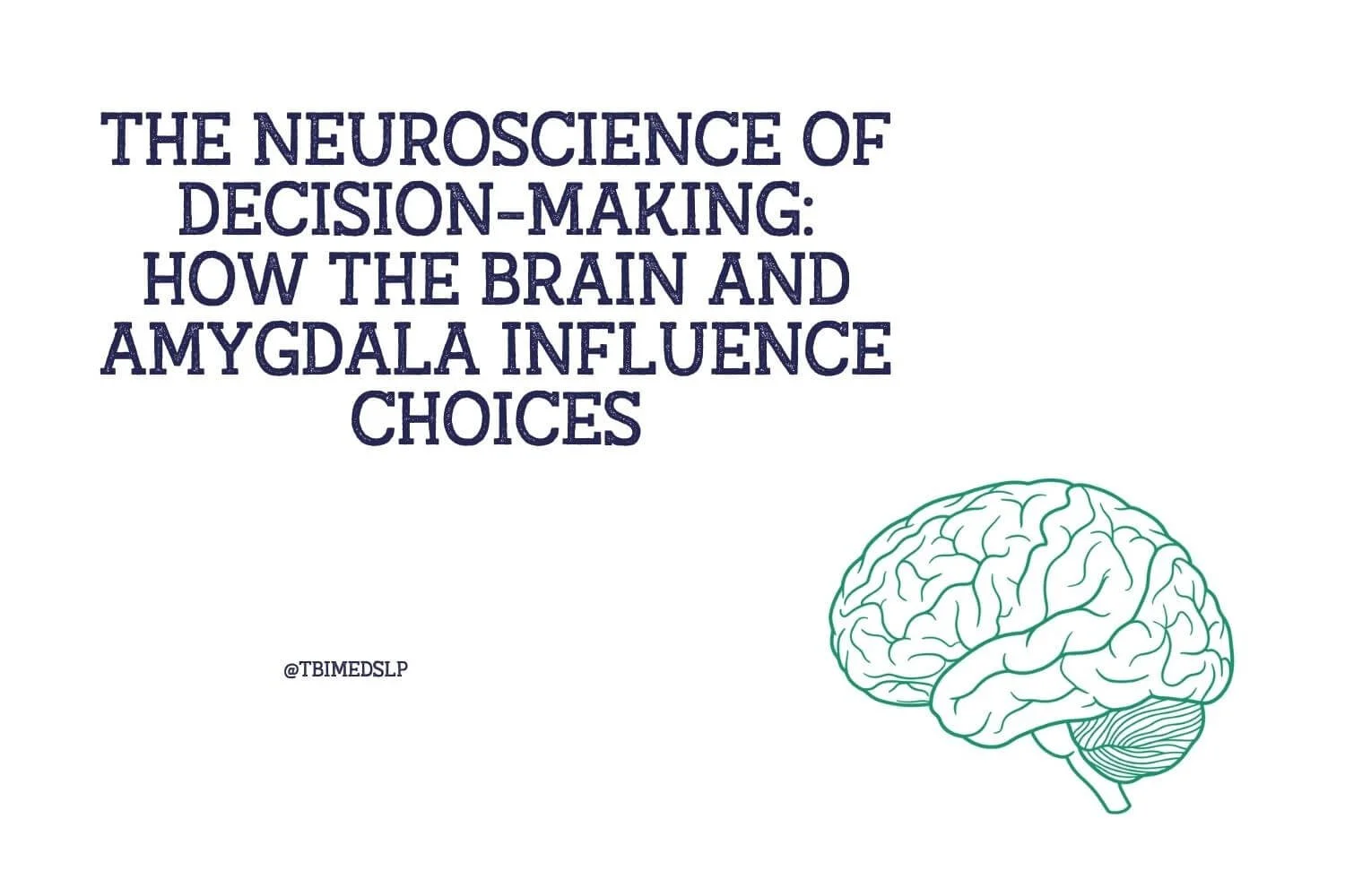 The Neuroscience of Decision-Making: How the Brain and Amygdala Influence Choices