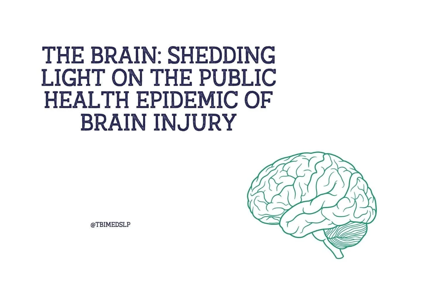 The Brain: Shedding Light on The Public Health Epidemic of Brain Injury