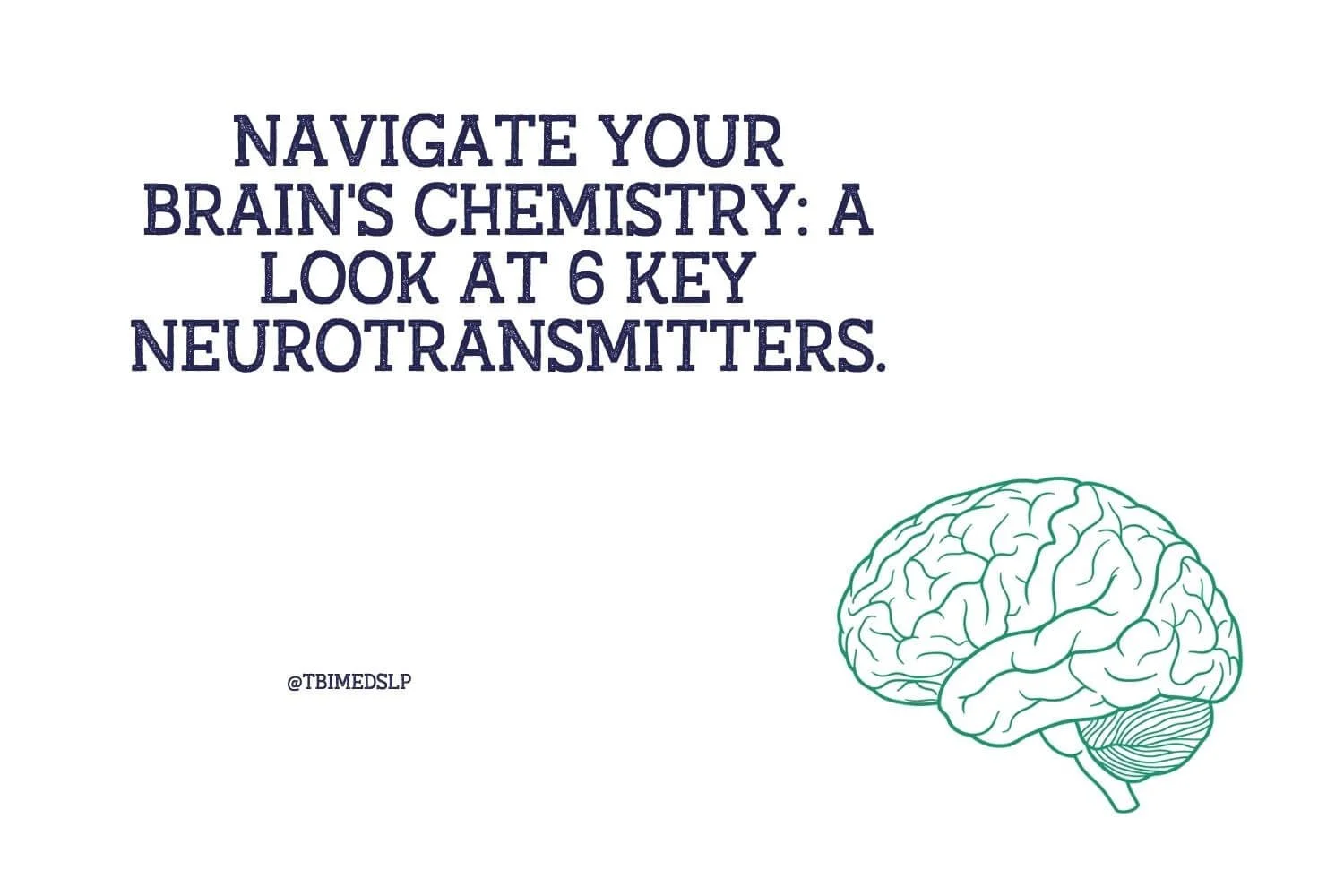 Navigate Your Brain's Chemistry: A Look at 6 Key Neurotransmitters.