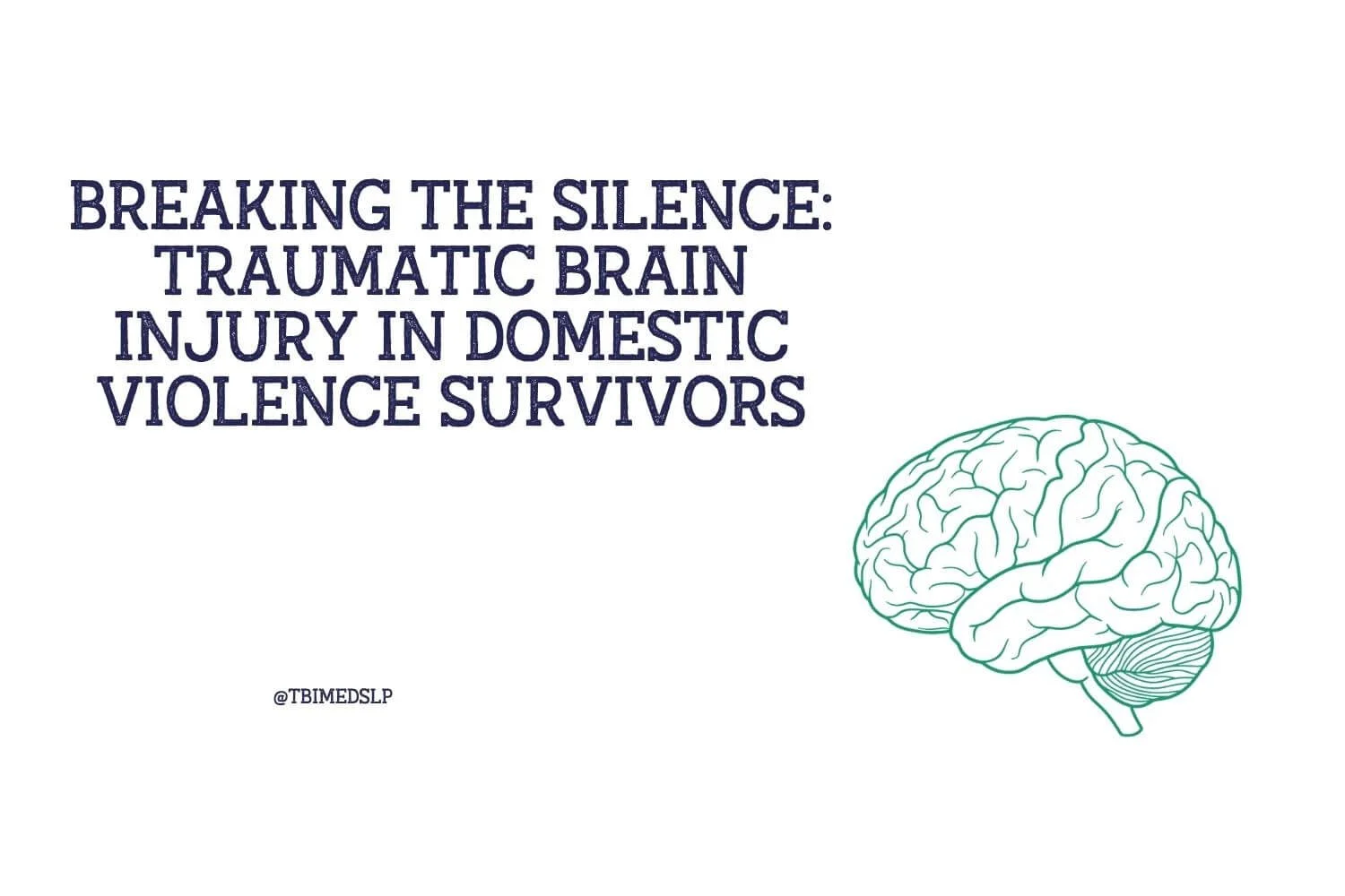 Breaking the Silence: Traumatic Brain Injury in Domestic Violence Survivors