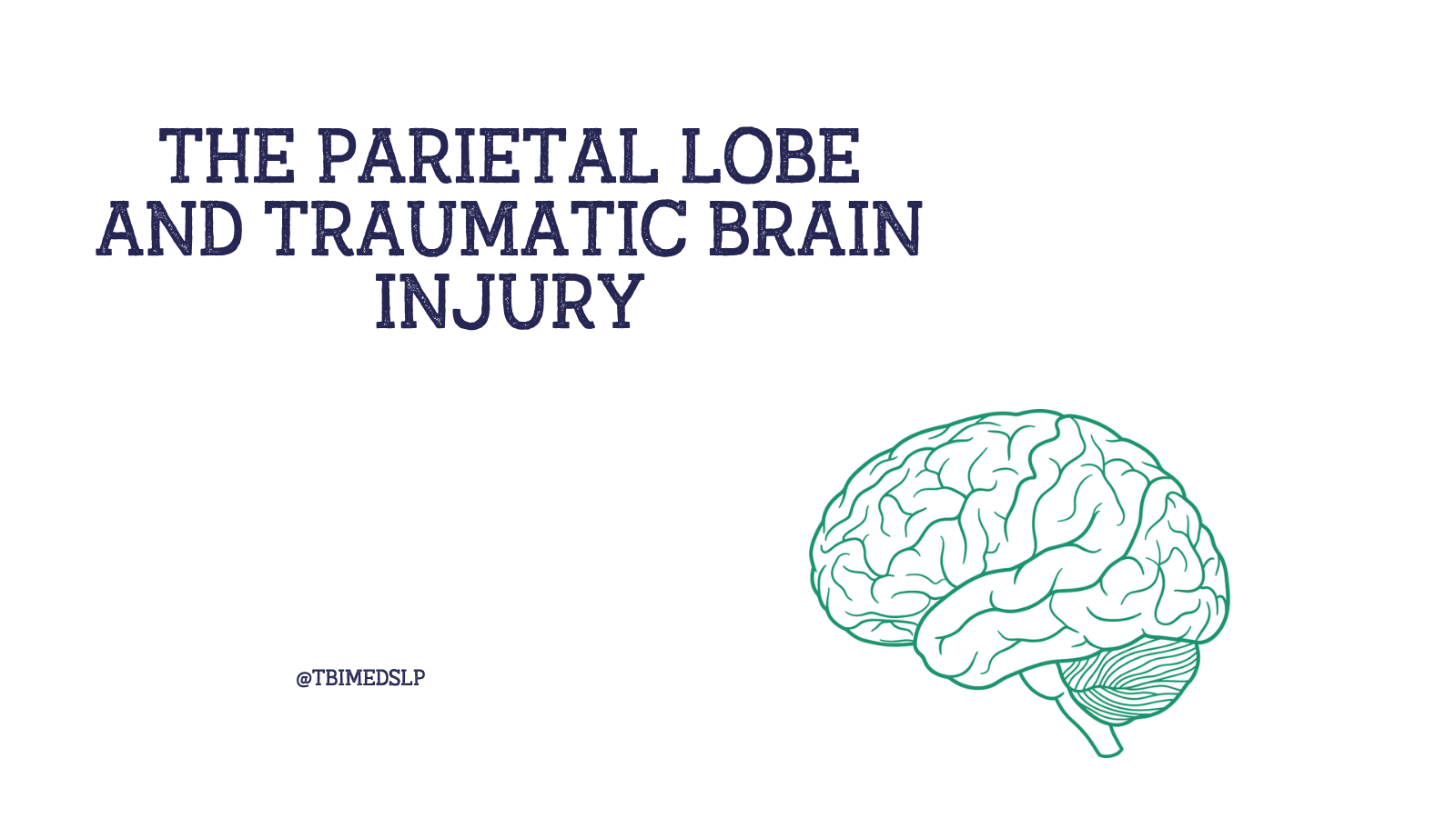 parietal lobe damage and function of the parietal lobe
