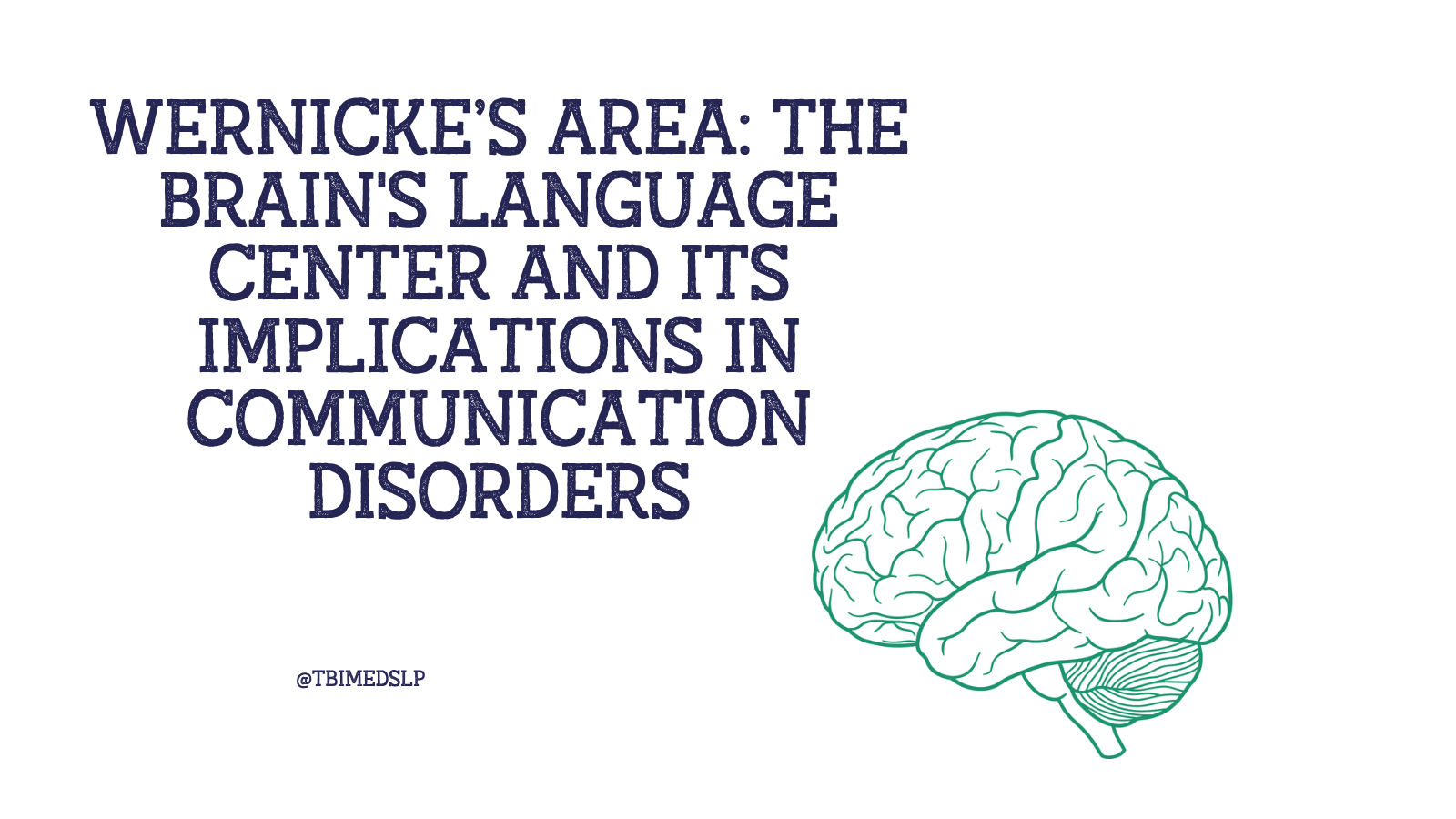 Wernicke's area of the brain functions